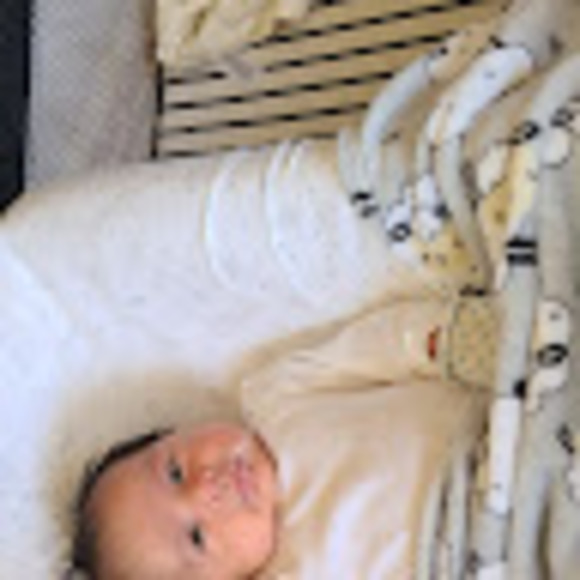 Meet your Posher, Julius - Picture 1 of 1